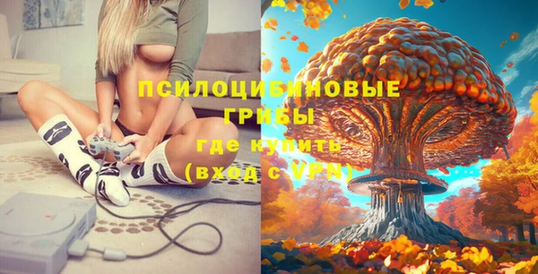 таблы Алексин