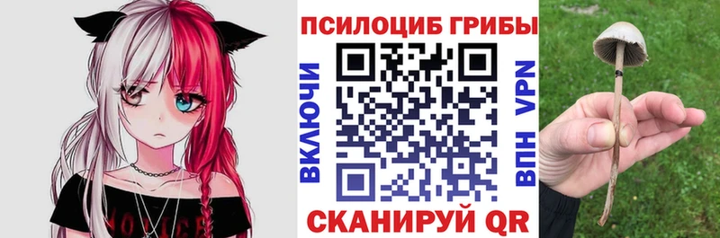 Галлюциногенные грибы Psilocybe  Ярцево 